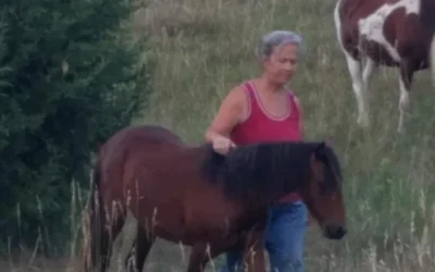 Horse Sense