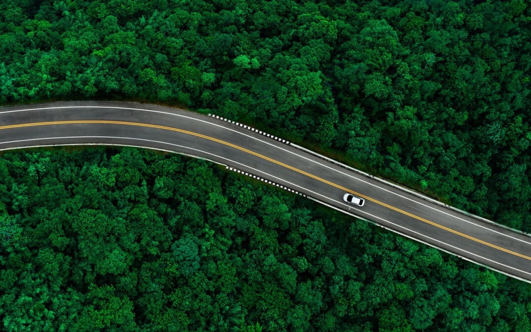 My Journey, by Sheila Kennedy